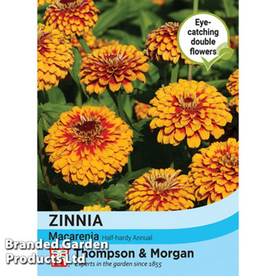 Thompson & Morgan Zinnia Macareni 1 Seed Packet (50 Seeds) from B&Q