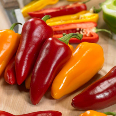 Thompson & Morgan Pepper (Sweet) Pillar Sweet Trio F1 1 Seed Packet from B&Q