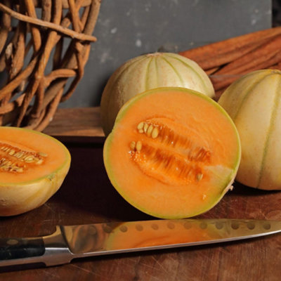 B&Q -  Mini Charentais Melon SeedsRare Sweet Fragrant Orange Flesh Ideal For Cooler Climates & Small Gardens (4 Seeds)