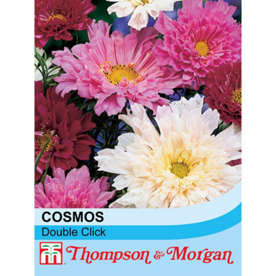 Thompson & Morgan Cosmos Double Click 1 Seed Packet (65 Seeds) Red/White/Pink