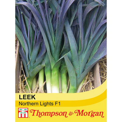 Thompson & Morgan Leek Northern Lights F1 Hybrid 1 Seed Packet (45 Seeds) Blue/Green/Purple