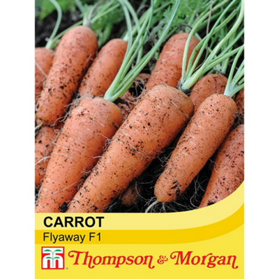 B&Q -  Carrot Flyaway F1 Hybrid 1 Seed Packet (400 Seeds)