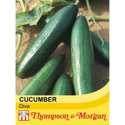 Thompson & Morgan Cucumber (La) Diva 1 Seed Packet (10 Seeds) from B&Q