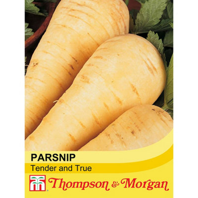 Thompson & Morgan Parsnip Tender And True 1 Seed Packet (300 Seeds) from B&Q