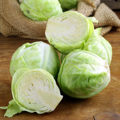 B&Q -  F1 Mozart Cabbage SeedsHardy Summer/autumn Vegetable High Yield Uniform Heads Drought-Tolerant 50 Seeds