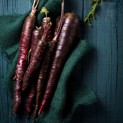 B&Q -  Carrot Deep Purple F1 SeedsHardy Annual Sweet Purple Roots1 Packet (200 Seeds)
