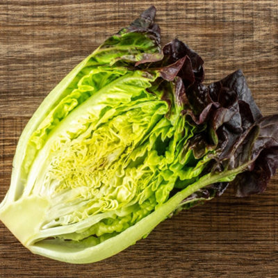 B&Q -  Lettuce Amaze Red Little Gem Salad SeedsCompact Disease-Resistant Container Friendly100 Seeds