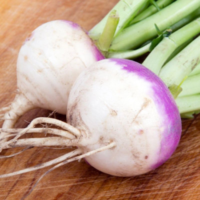 B&Q - Turnip ArmandSweet And Tender1 Packet X 150 Seeds By 