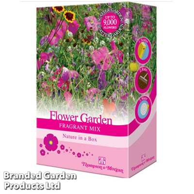 Thompson & Morgan Scatter Seed Pack Flower Garden Fragrant Mix 1 Pack (200G . 15G Of Seed) from B&Q