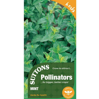 Suttons Seeds Herb Mint 1 X Seed Packet from B&Q