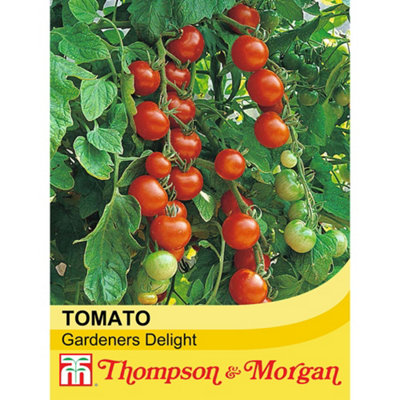 Thompson & Morgan Tomato Gardener's Delight 1 Seed Packet (50 Seeds) from B&Q