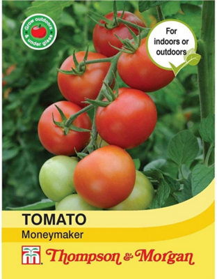Thompson & Morgan Tomato Moneymaker 1 Seed Packet (50 Seeds)