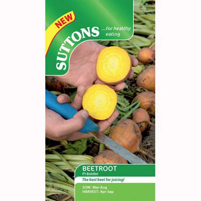 Suttons Seeds Beetroot F1 Boldor 1 Seed Packet Grow Your Own Veg from B&Q