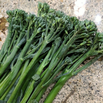 Thompson & Morgan Tenderette F1 Broccoli Seeds - Chinese Kale Hybrid Hardy Sweet Florets & Stems 2-3 Harvests/Month Large B&Q