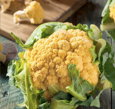 Suttons Seeds Cauliflower Cheddar F1 1 Seed Packet from B&Q