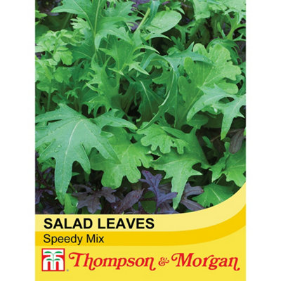 Thompson & Morgan Salad Leaves Speedy Mix 1 Seed Packet from B&Q