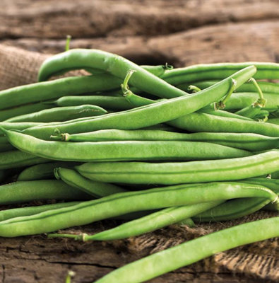 Suttons Seeds Organic Bean French Climbing Cobra 1 Packet from B&Q