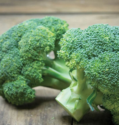 Suttons Seeds Organic Broccoli Green Sprouting 1 Packet from B&Q