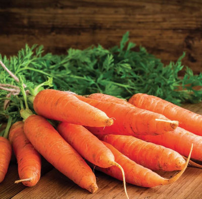 Suttons Seeds Organic Carrot Chantenay 1 Packet from B&Q