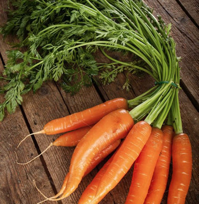 Suttons Seeds Organic Carrot Early Nantes 2 (Nantes 2) 1 Packet from B&Q
