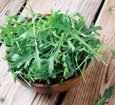 Suttons Seeds Organic Herb Rocket 1 X Seed Packet from B&Q