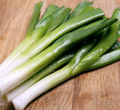 Suttons Seeds Organic Leek 'carentan 2' 1 Packet from B&Q