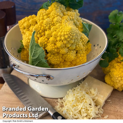 Thompson & Morgan Cauliflower Ameresco F1 1 Seed Packet (12 Seeds) from B&Q