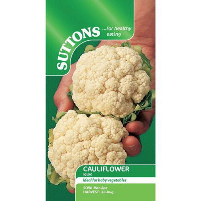 Suttons Seeds Cauliflower Igloo 1 Packet from B&Q
