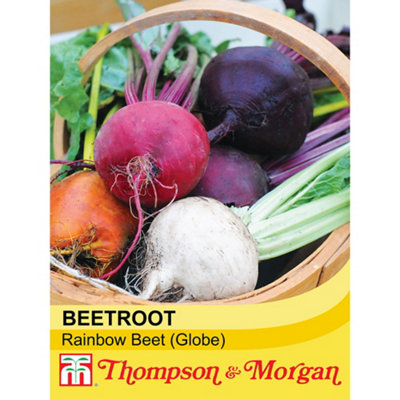 Thompson & Morgan Beetroot Rainbow Beet 1 Seed Packet (250 Seeds) from B&Q