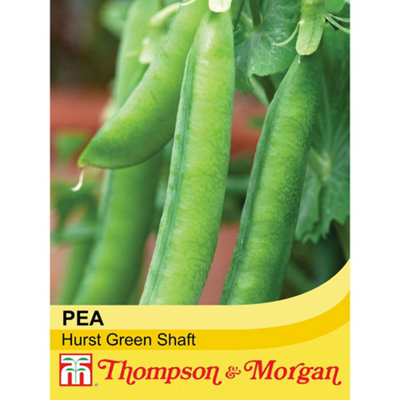 B&Q -  Pea Hurst Green Shaft 1 Seed Packet  (250 Seeds)