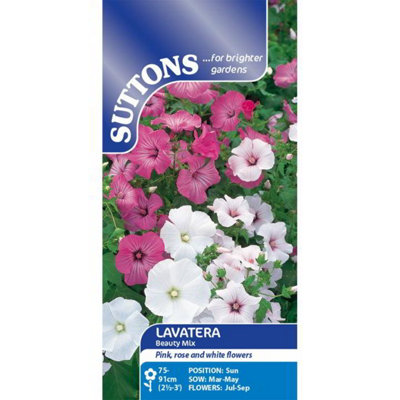 B&Q -  Lavatera Beauty Mixed 1 Seed Packet (90 Seeds)