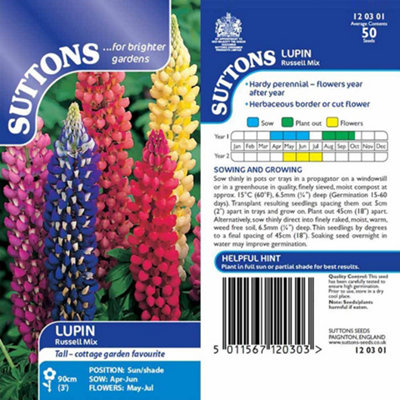 Thompson & Morgan Lupin Russell Mix 1 Seed Packet (50 Seeds) from B&Q