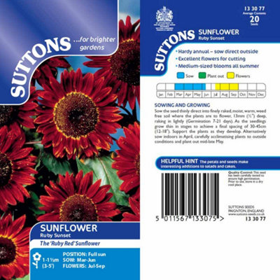 Thompson & Morgan Sunflower Ruby Sunset 1 Seed Packet (20 Seeds) from B&Q