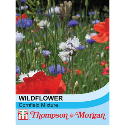Thompson & Morgan Wildflower Cornfield Mixture 1 Seed Packet (1 Gram) from B&Q