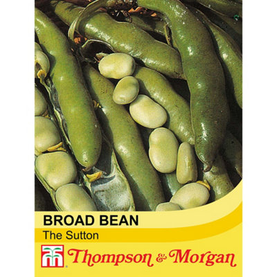 Thompson & Morgan Bean (Broad) The Sutton 1 Seed Packet (45 Seeds) from B&Q
