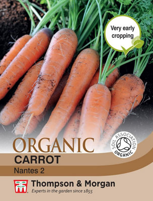 Thompson & Morgan Carrot Early Nantes 5 1 Seed Packet (1000 Seeds) from B&Q