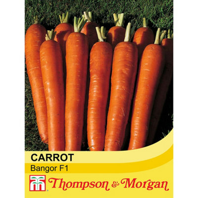 Thompson & Morgan Carrot F1 Bangor 1 Seed Packet (200 Seeds)