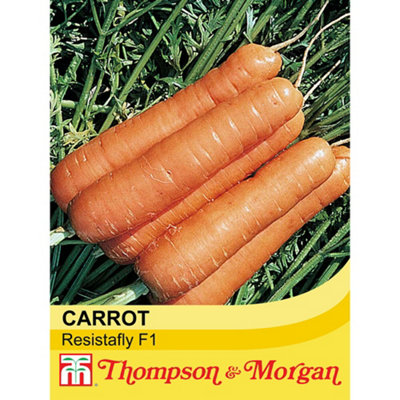 B&Q -  Carrot F1 Resistafly 1 Seed Packet (350 Seeds)