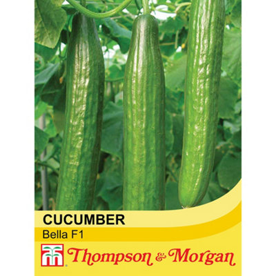 Thompson & Morgan Cucumber (All Female) F1 Bella 1 Seed Packet (4 Seeds) from B&Q
