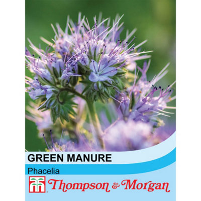 Thompson & Morgan Green Manure Phacelia 1 Seed Packet (50 Seeds) from B&Q