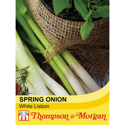 Thompson & Morgan Onion (Salad) White Lisbon - Winter Hardy Seeds 1 Seed Packet (400 Seeds)