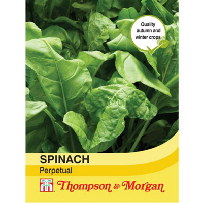 Thompson & Morgan Organic Spinach Perpetual 1 Seed Packet (165 Seeds)