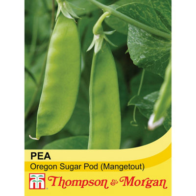 Thompson & Morgan Pea Oregon Sugar Pod 1 Seed Packet (250 Seeds) from B&Q