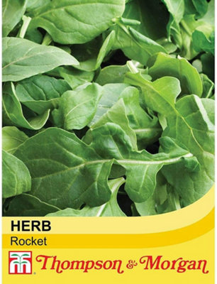Thompson & Morgan Rocket Seeds 1 Seed Packet (500 Seeds) from B&Q