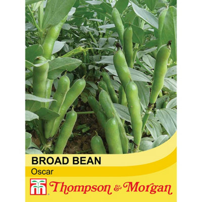 Thompson & Morgan Broad Bean Oscar 1 Seed Packet (50 Seeds) from B&Q