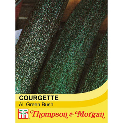 B&Q -  Courgette All Green Bush 1 Seed Packet (20 Seeds)