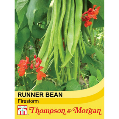 B&Q -  Bean Runner Firestorm 1 Seed Packet (40 Seeds)
