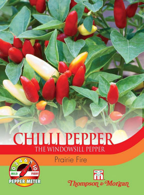 Thompson & Morgan Chilli Pepper Prairie Fire 1 Seed Packet (10 Seeds) from B&Q