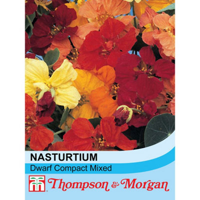 Thompson & Morgan Nasturtium Dwarf Compact Mixed 1 Seed Packet (50 Seeds) from B&Q