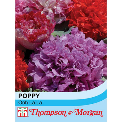 B&Q -  Poppy Ooh La La 1 Seed Packet (500 Seeds)
